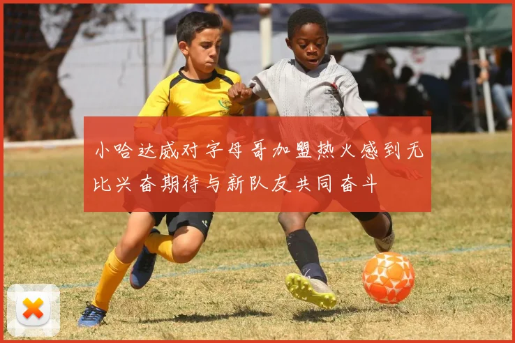 小哈达威对字母哥加盟热火感到无比兴奋期待与新队友共同奋斗